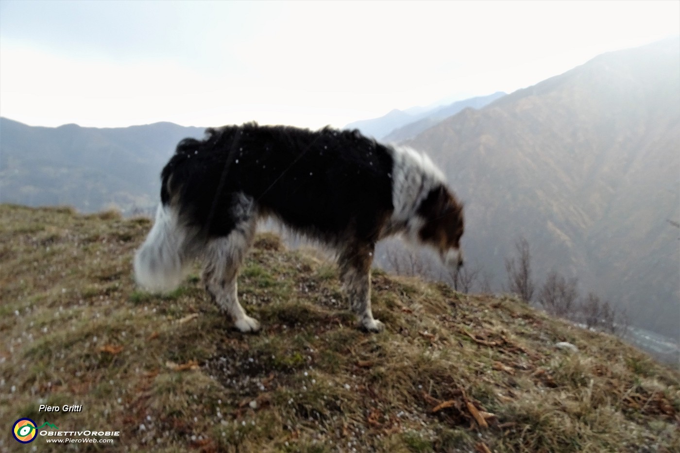 94 La pioggia si trasforma in chicchi di neve.JPG